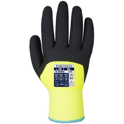 Port West Arctic Winter Glove - A146